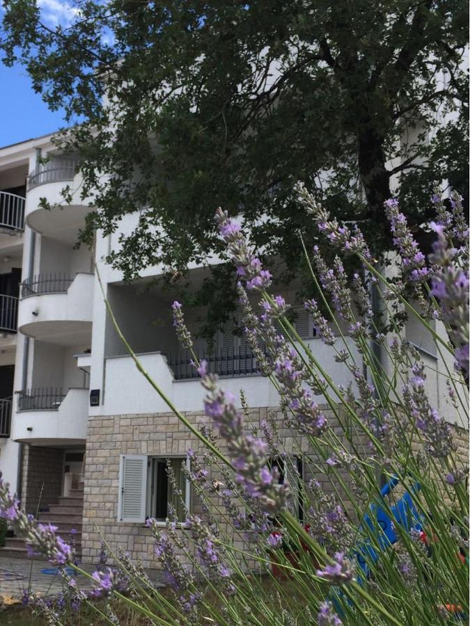 Apartmani Ana مالينسكا المظهر الخارجي الصورة
